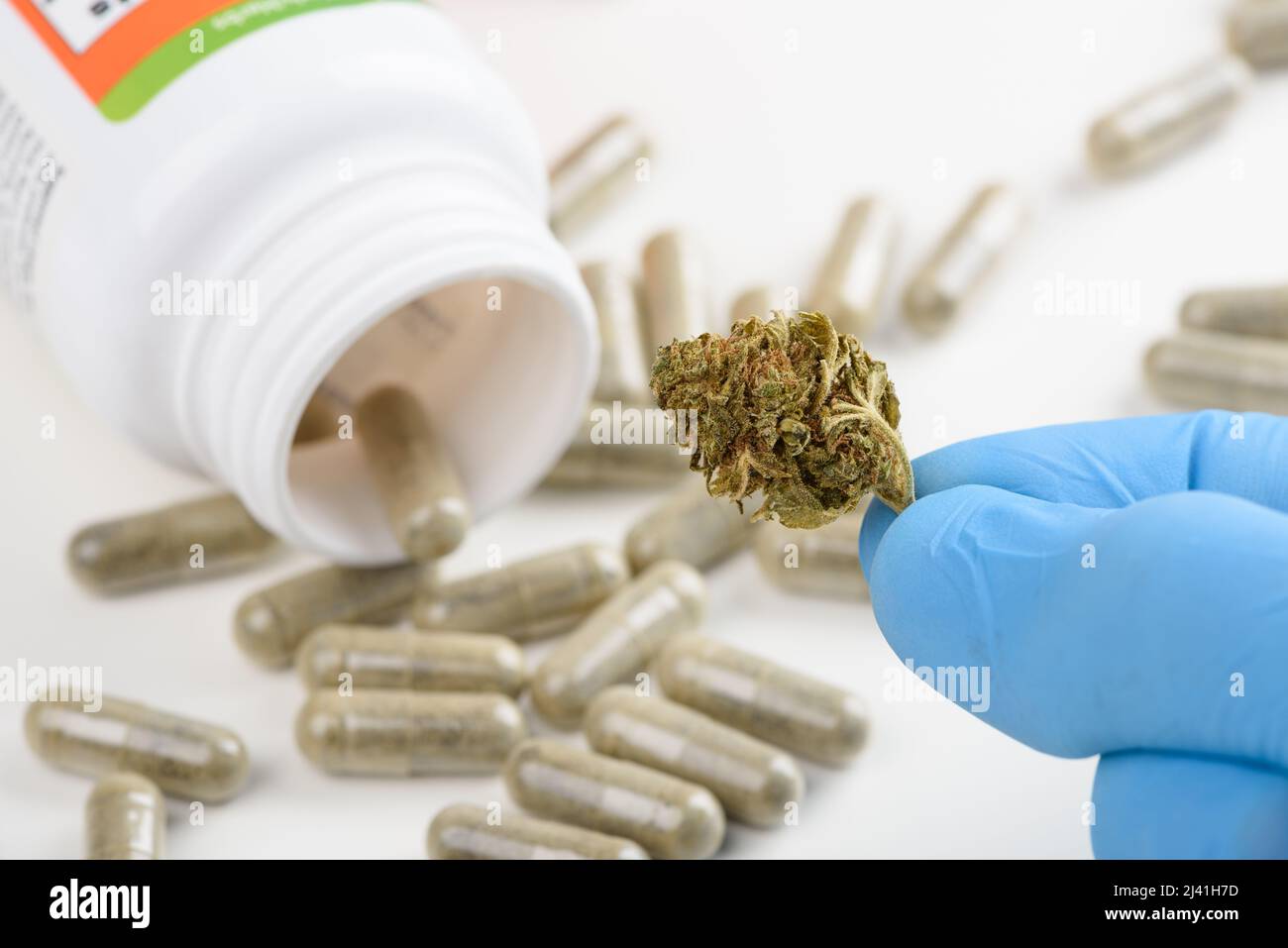 Wissenschaftler halten CBD-Cannabisblütenknospe in der Hand mit einer Pillenflasche auf dem Hintergrund Stockfoto