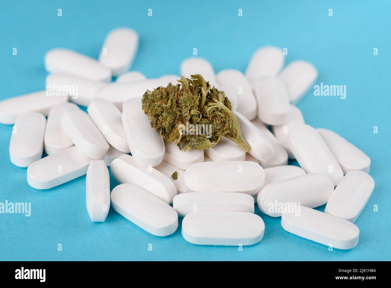 CBD-Cannabisblütenknospe auf einem Haufen weißer Pillen auf blauem Hintergrund Stockfoto