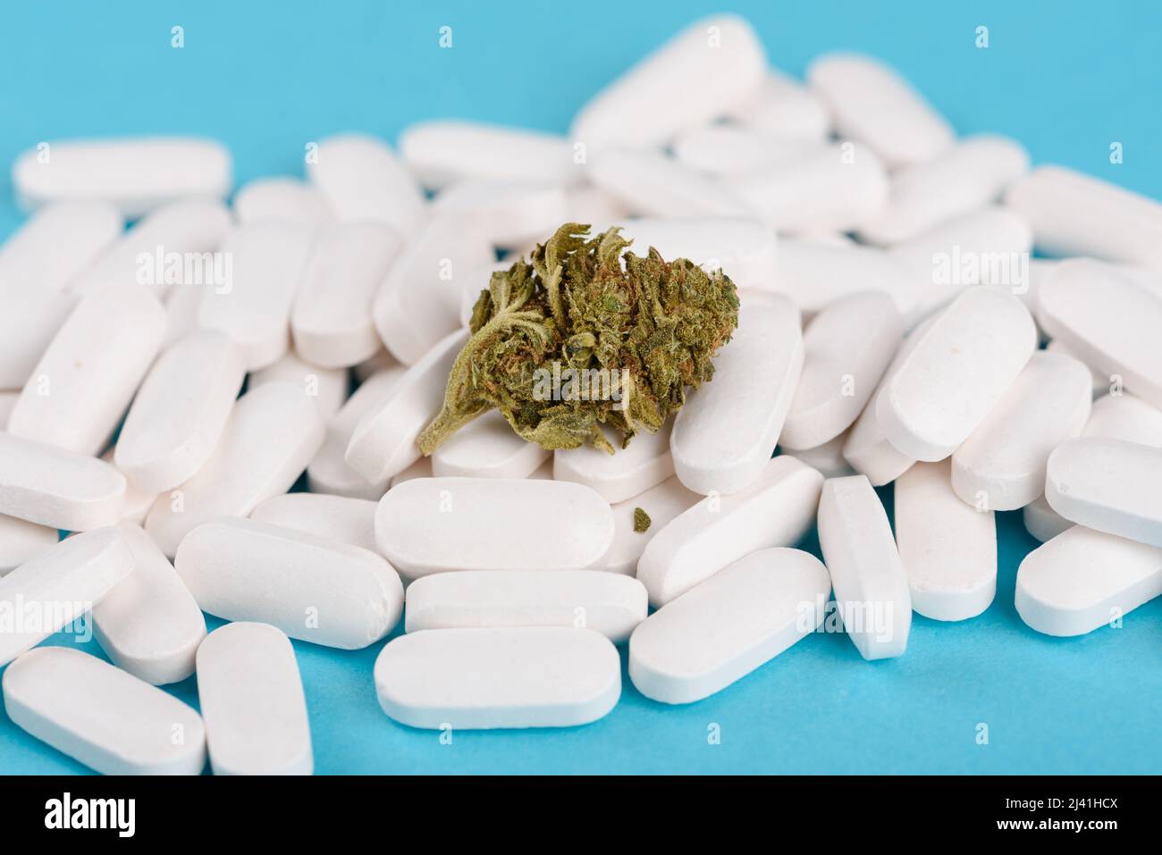 CBD-Cannabisblütenknospe auf einem Haufen weißer medizinischer Pillen auf blauem Hintergrund Stockfoto