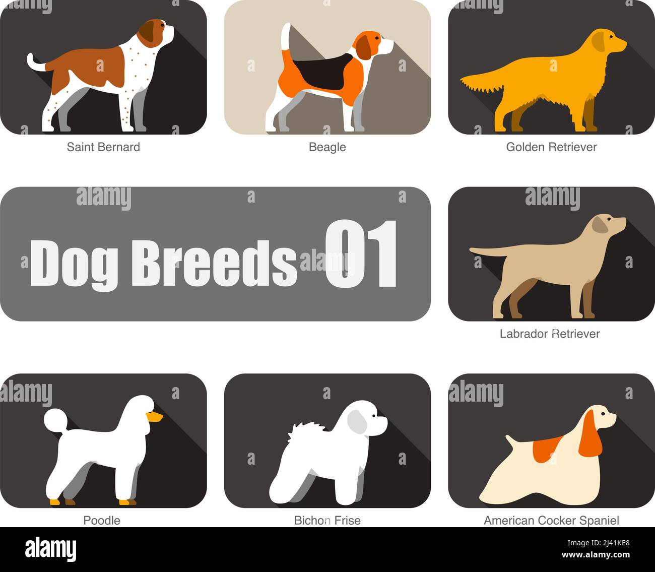 Hunderassen, auf dem Boden stehend, Seitenansicht, Vektorgrafik, Hund Cartoon Bildserie Stock Vektor