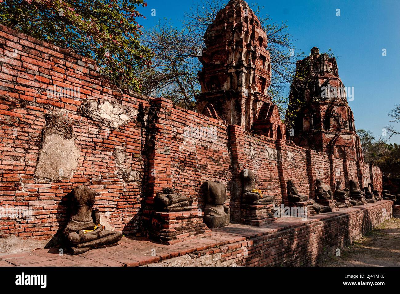 Zerstörte buddha-Statuen in Ruinen in Ayuthaya hinter dem Buddha-Kopf im Baum. Stockfoto