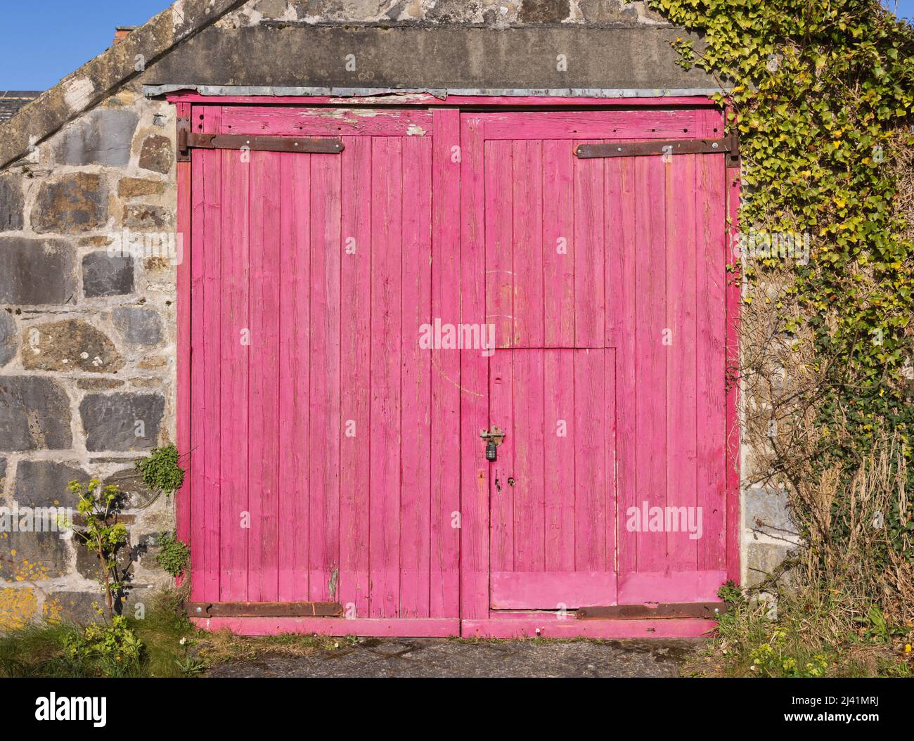 Garage aus walisischem Stein mit abgenutzten rosafarbenen Holztüren. Stockfoto