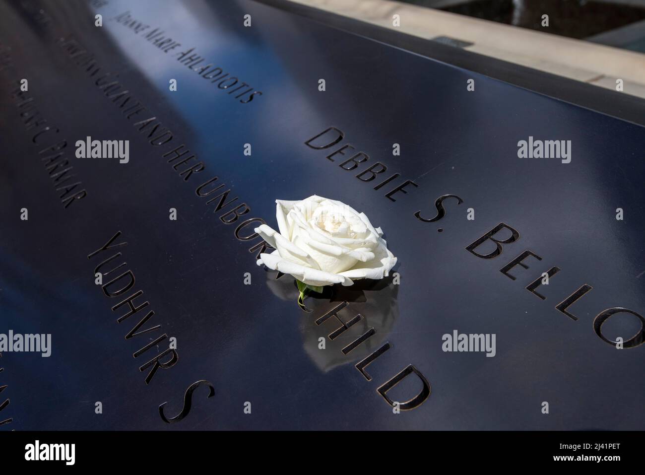 Weiße Rose im World Trade Center Memorial in Manhattan, New York City, USA Stockfoto