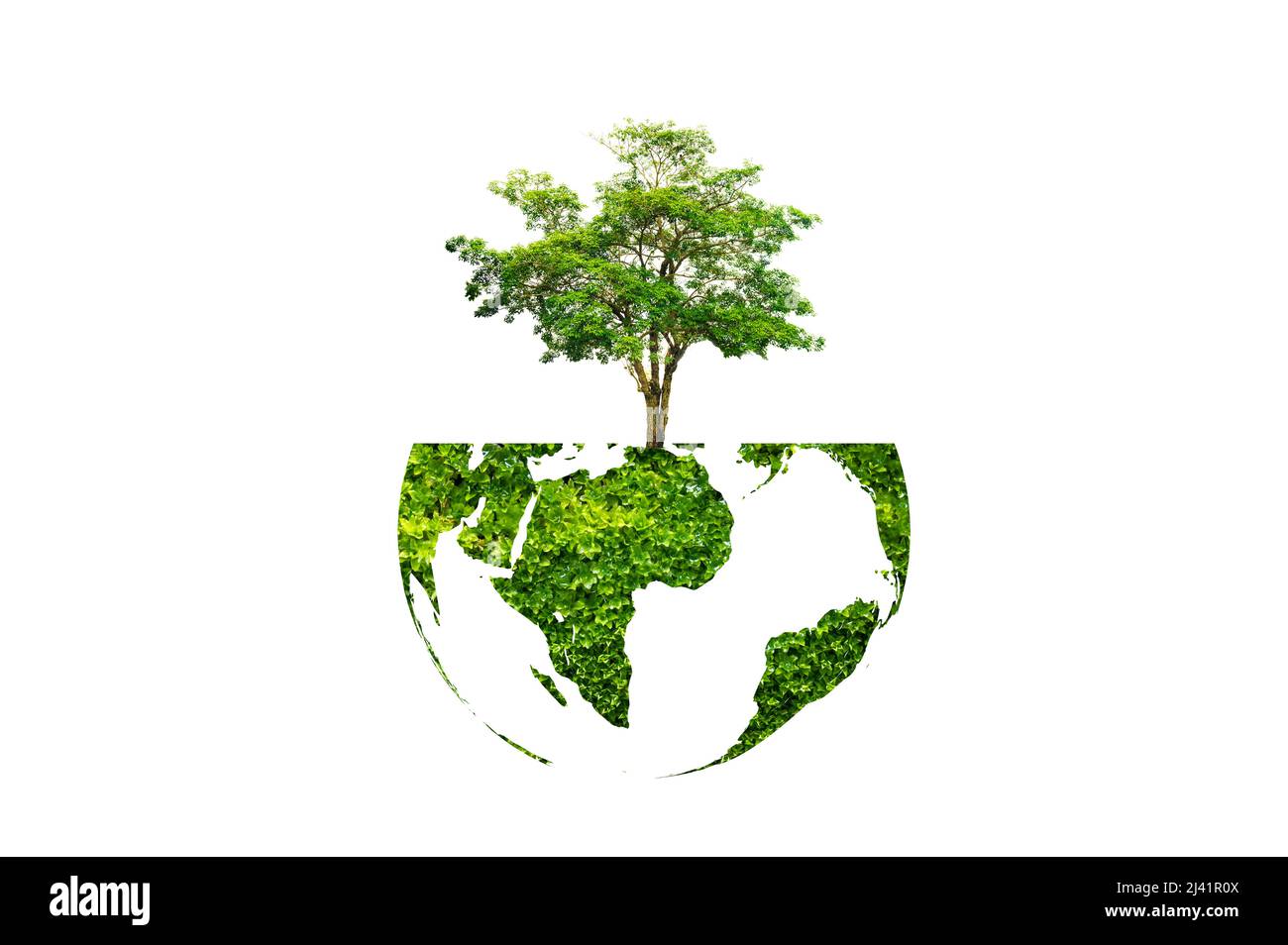Erdtagesbaum auf grüner Erde auf weißem isolierter Hintergrund Stockfoto