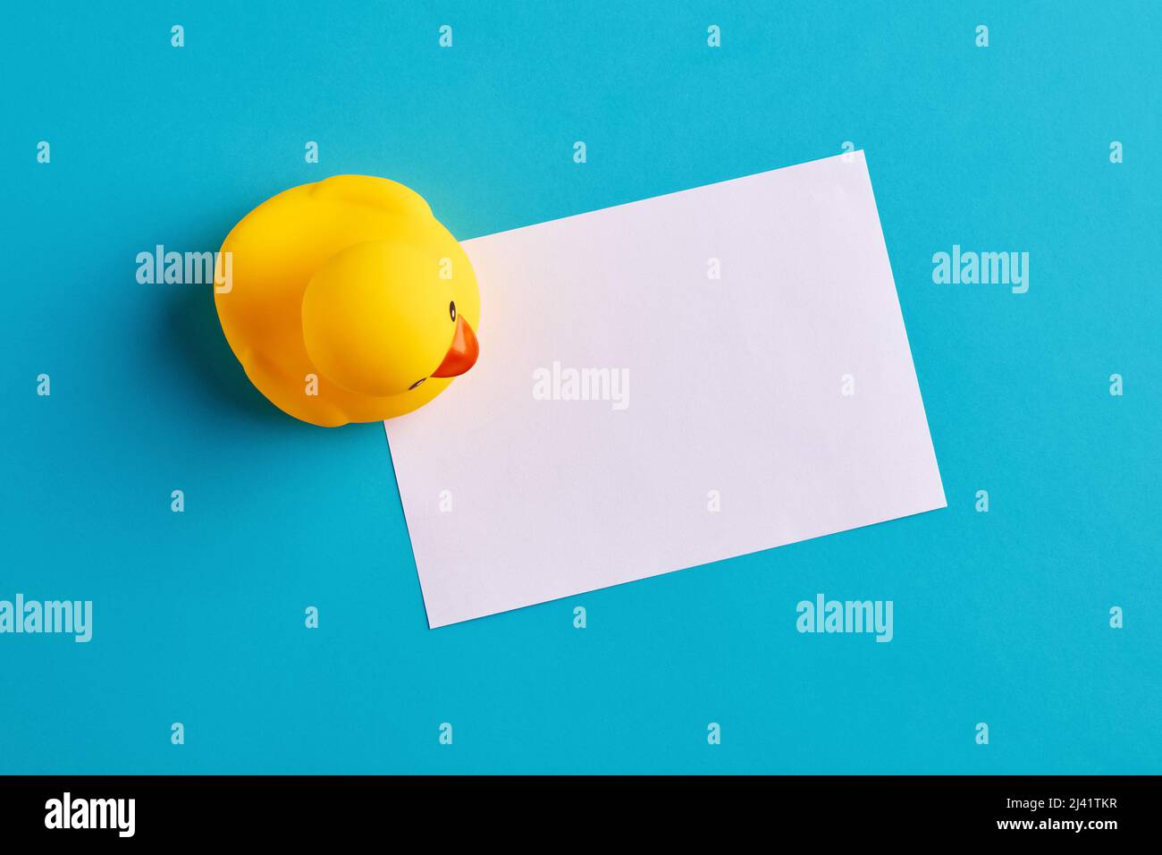 Leeres weißes Notizpapier mit einem Duck-Spielzeug aus Gummi auf blauem Hintergrund. Stockfoto