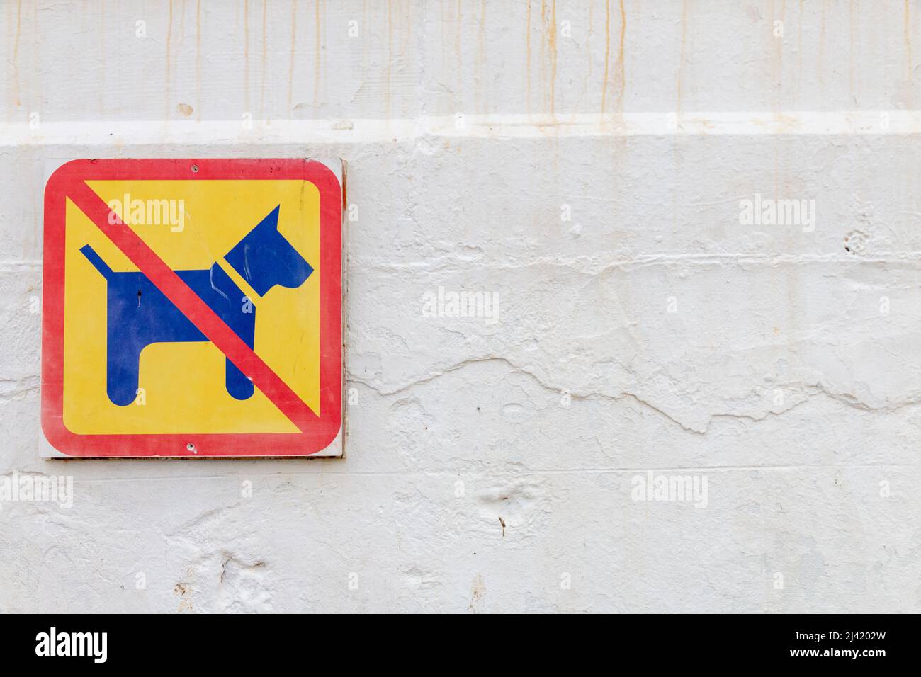 Zeichen, dass keine Hunde erlaubt sind, Hunde an einer weißen Wand verboten. Stockfoto