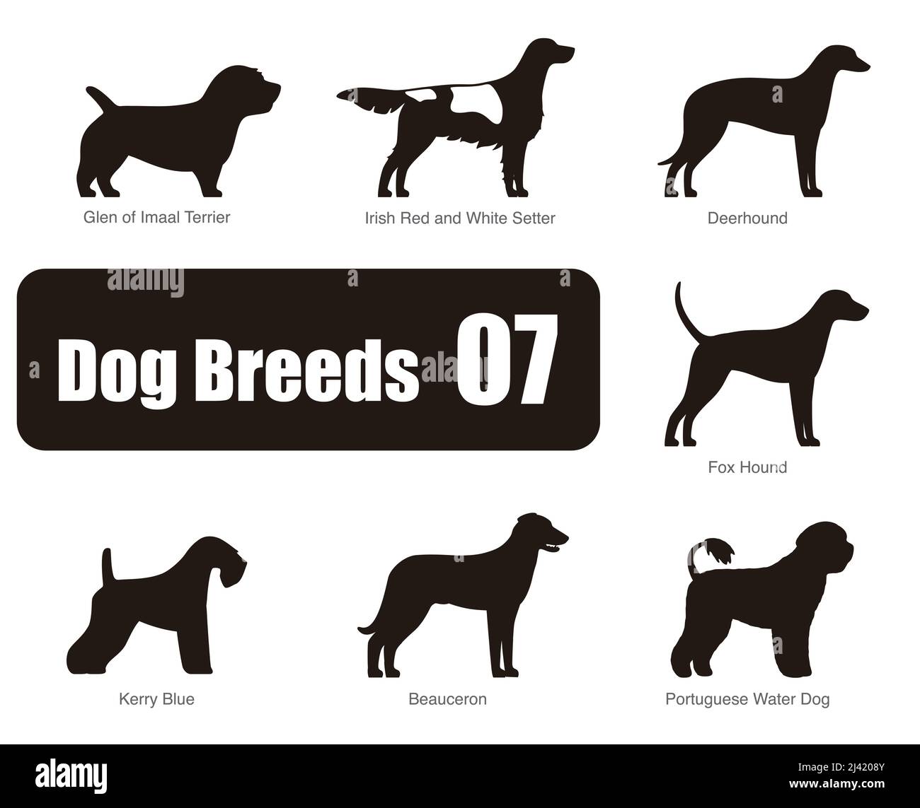 Reihe von Hunderassen, schwarz und weiß, Seitenansicht, Vektor-illustration Stock Vektor