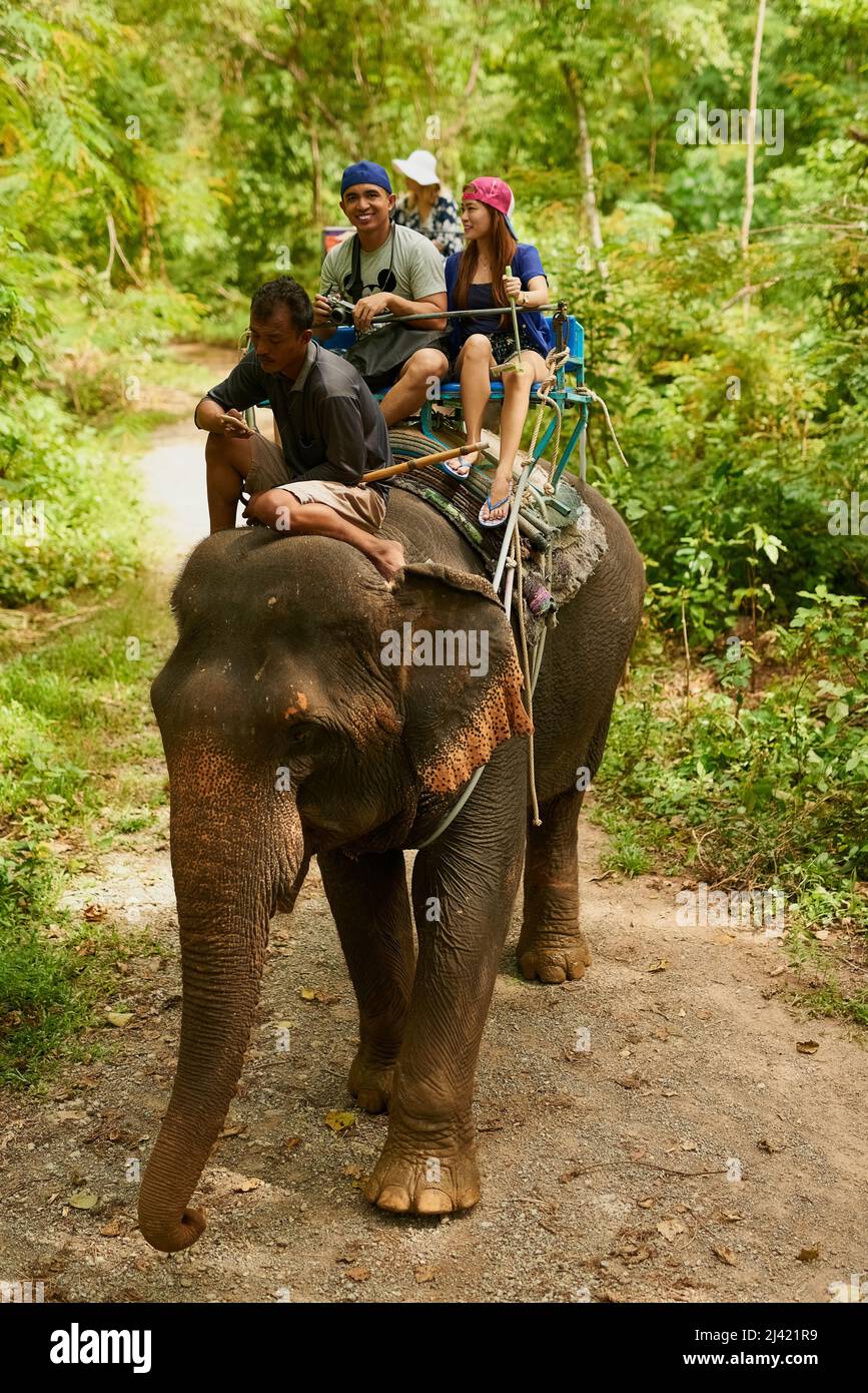 Das ultimative Thailand-Erlebnis. Aufnahme eines Elefanten mit einer Gruppe von Touristen, die auf dem Rücken reiten. Stockfoto