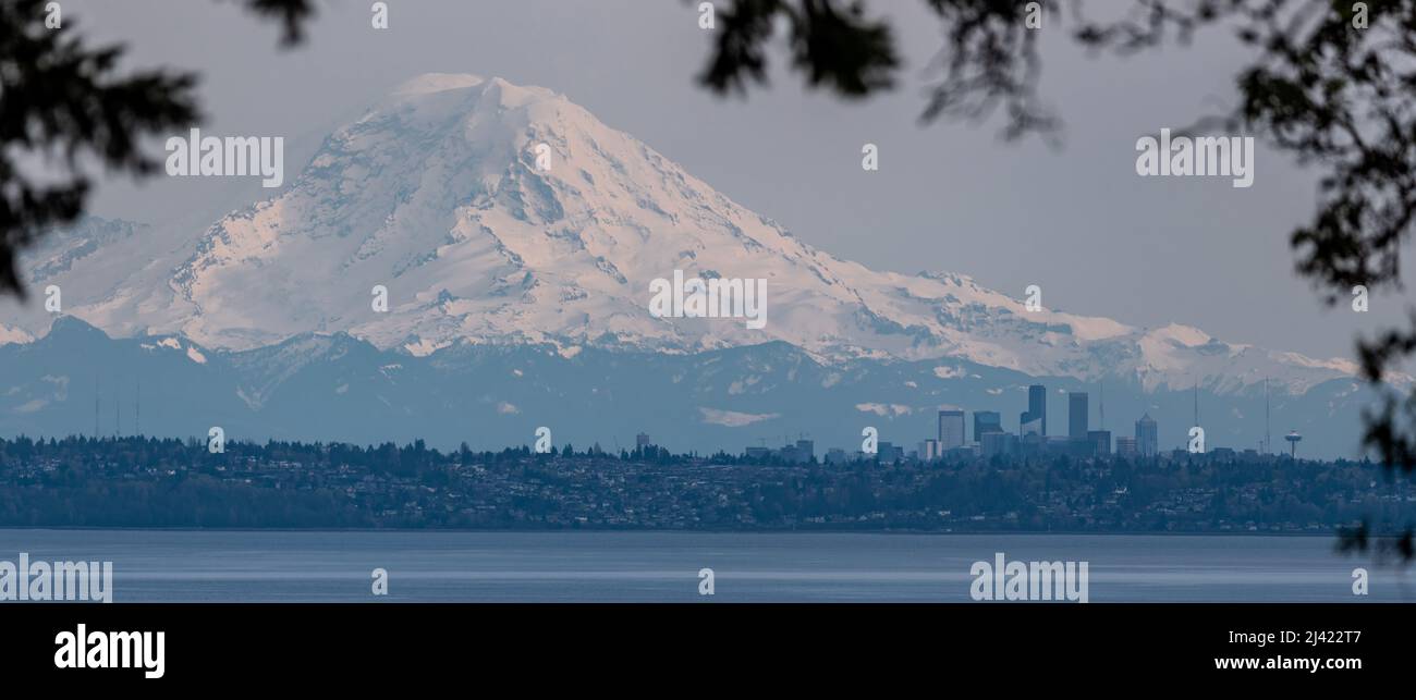 Panoramalandschaft des Mt Rainier, die über einer winzigen Skyline von Seattle, dem Pazifischen Nordwesten, dem Bundesstaat Washington thront Stockfoto