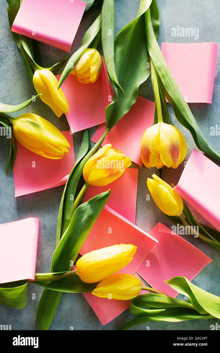 Gelbe Tulpen mit leeren Papiererinnerungen Stockfoto