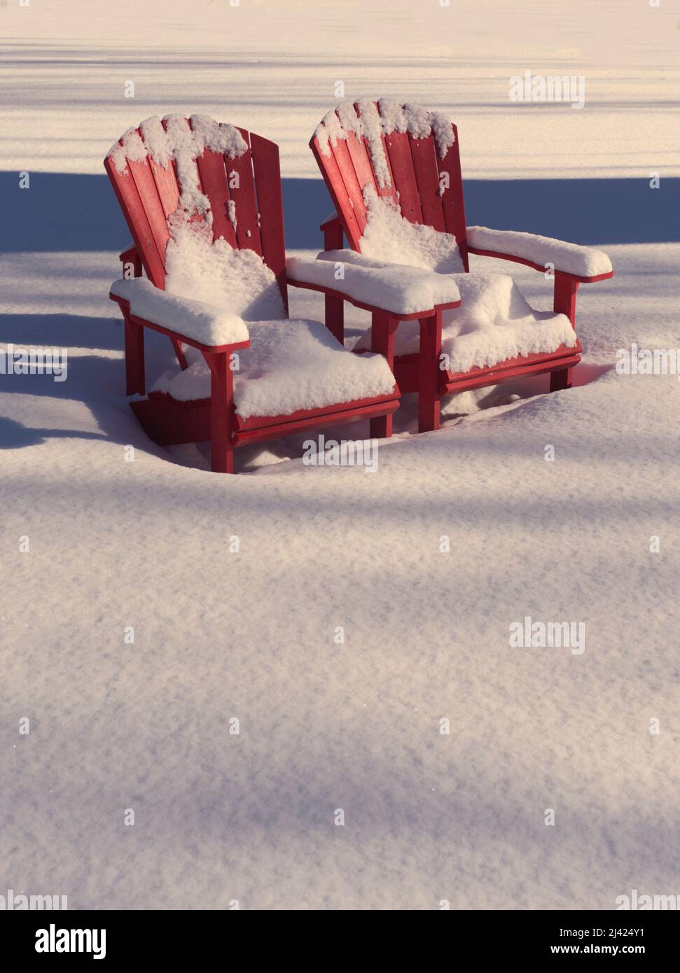 Schneebedeckte Stühle im Muskoka- oder Adirondack-Stil in schneebedeckter Landschaft. Stockfoto
