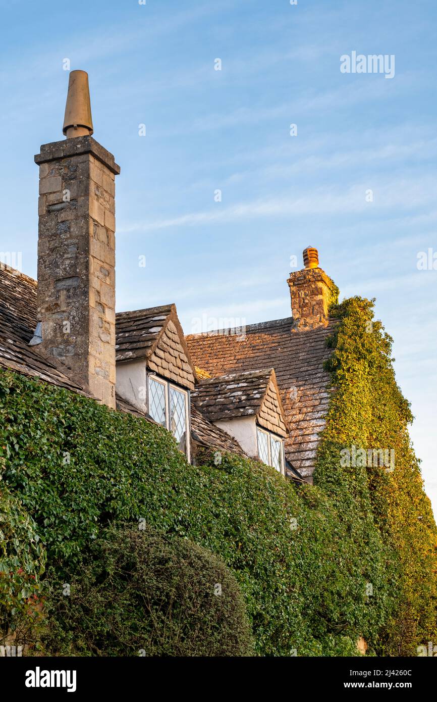 Seite eines mit Laub bedeckten Hauses mit Kaminen und Dachfenstern bei Sonnenaufgang. Tredington, Warwickshire, England. Stockfoto