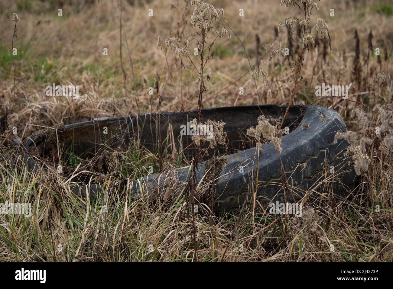 Alte gebrauchte Gummireifen, die auf rohem Waldökosystem, Umweltverschmutzung, weggeworfen werden. Stockfoto