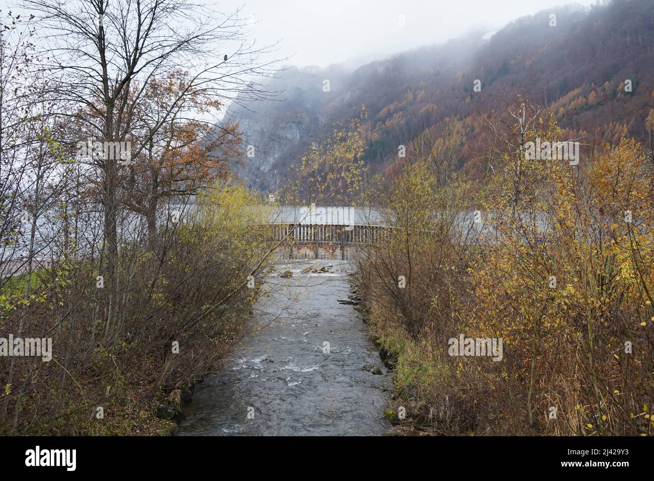 Bach, der in den Walensee in der Stadt Walenstadt in der Schweiz fließt. Es ist an beiden Ufern mit trockener Vegetation gesäumt oder begrenzt. Stockfoto
