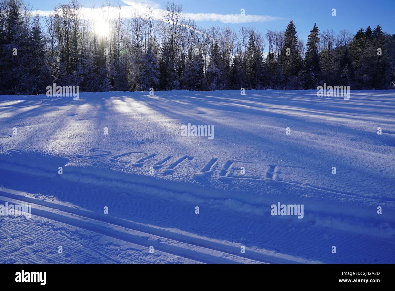 Schneebedecktes Feld mit dem Wort Schnee, was auf Deutsch Schnee im Schnee bedeutet. Es gibt Bäume im Hintergrund und etwas Sonnenschein kommt durch. Stockfoto