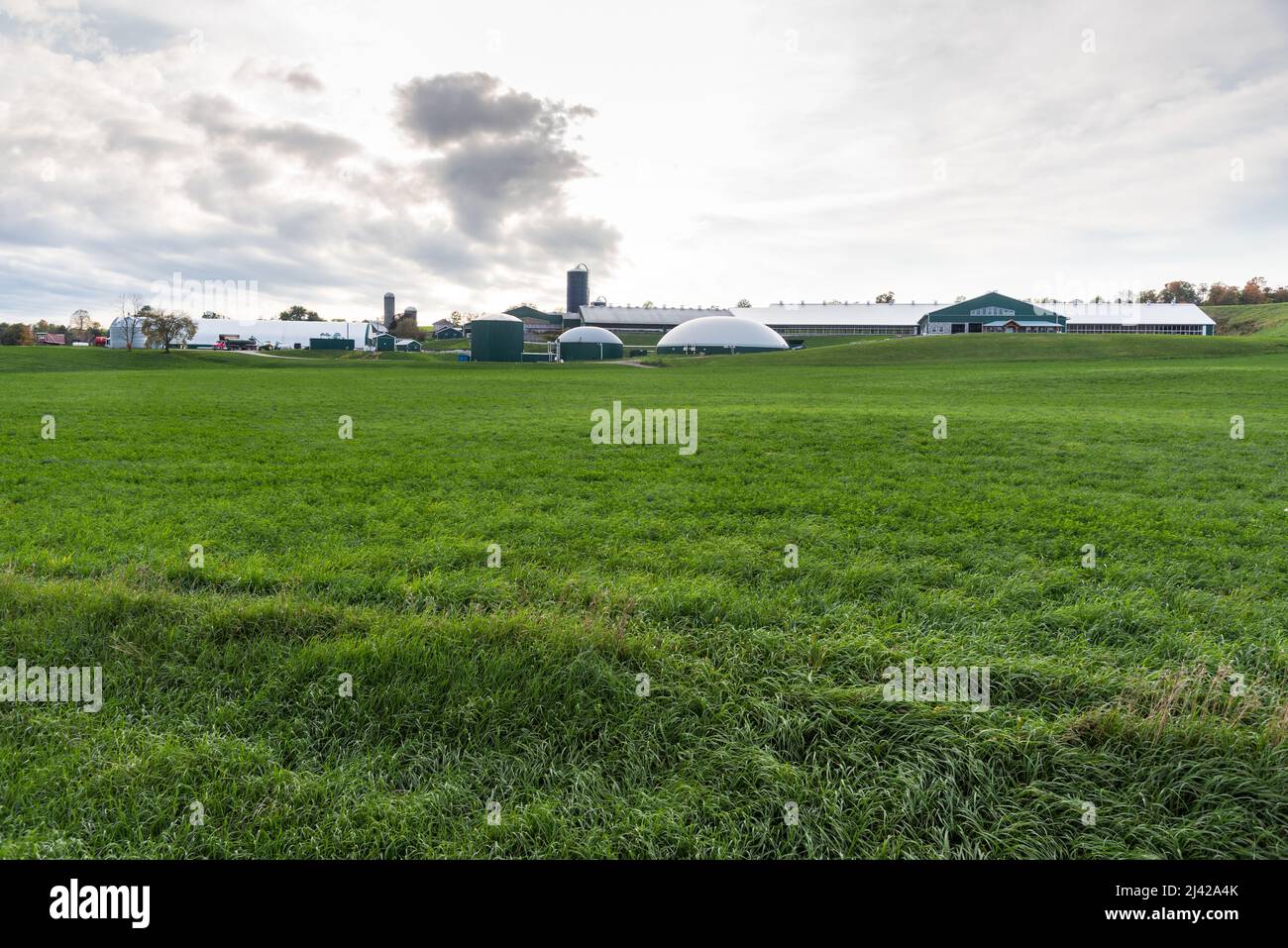 Großer Bauernhof mit Biogasanlage am äußersten Ende eines Grasfeldes an einem bewölkten Herbsttag. Abfall in nachhaltiges Energiekonzept verwandeln. Stockfoto