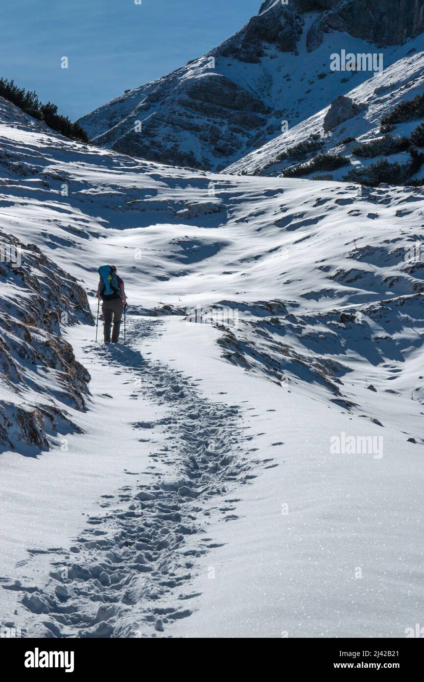 Herbstlichter mit erstem Schnee Karwendel Berg. Hochwertige Fotos Stockfoto