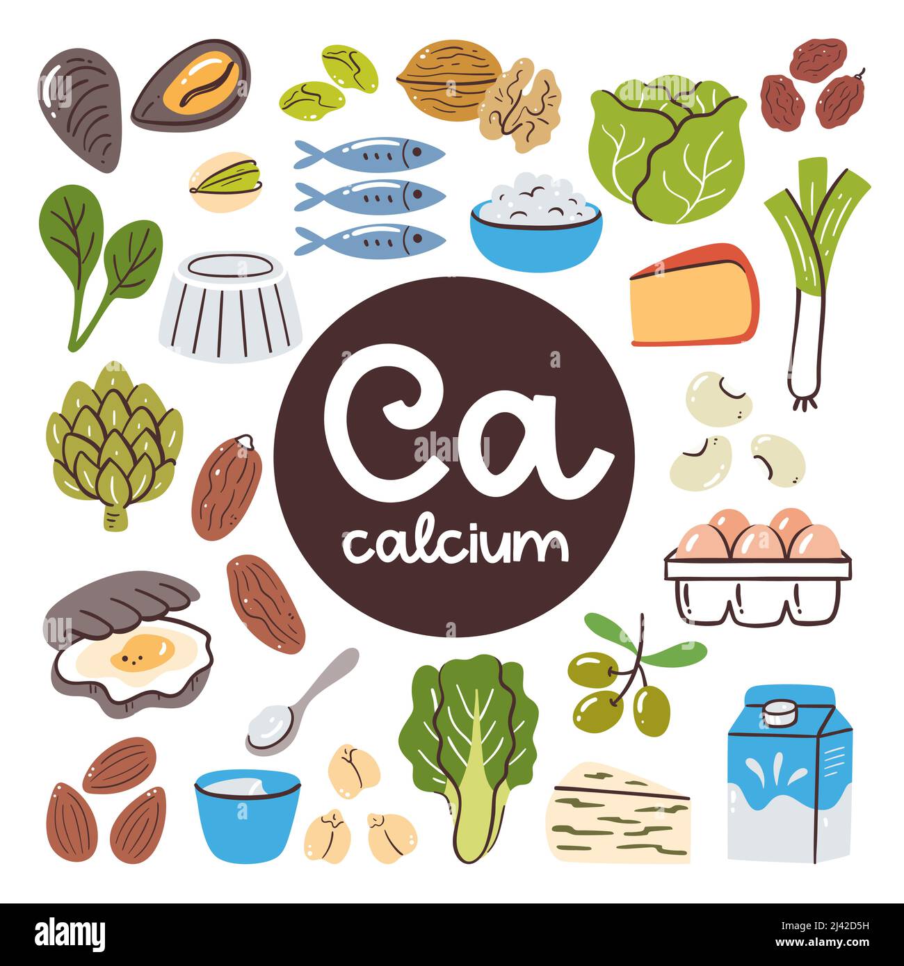 Lebensmittel mit hohem Calciumgehalt. Zutaten zum Kochen. Gemüse, Milchprodukte, Nüsse, Seefisch. Stock Vektor
