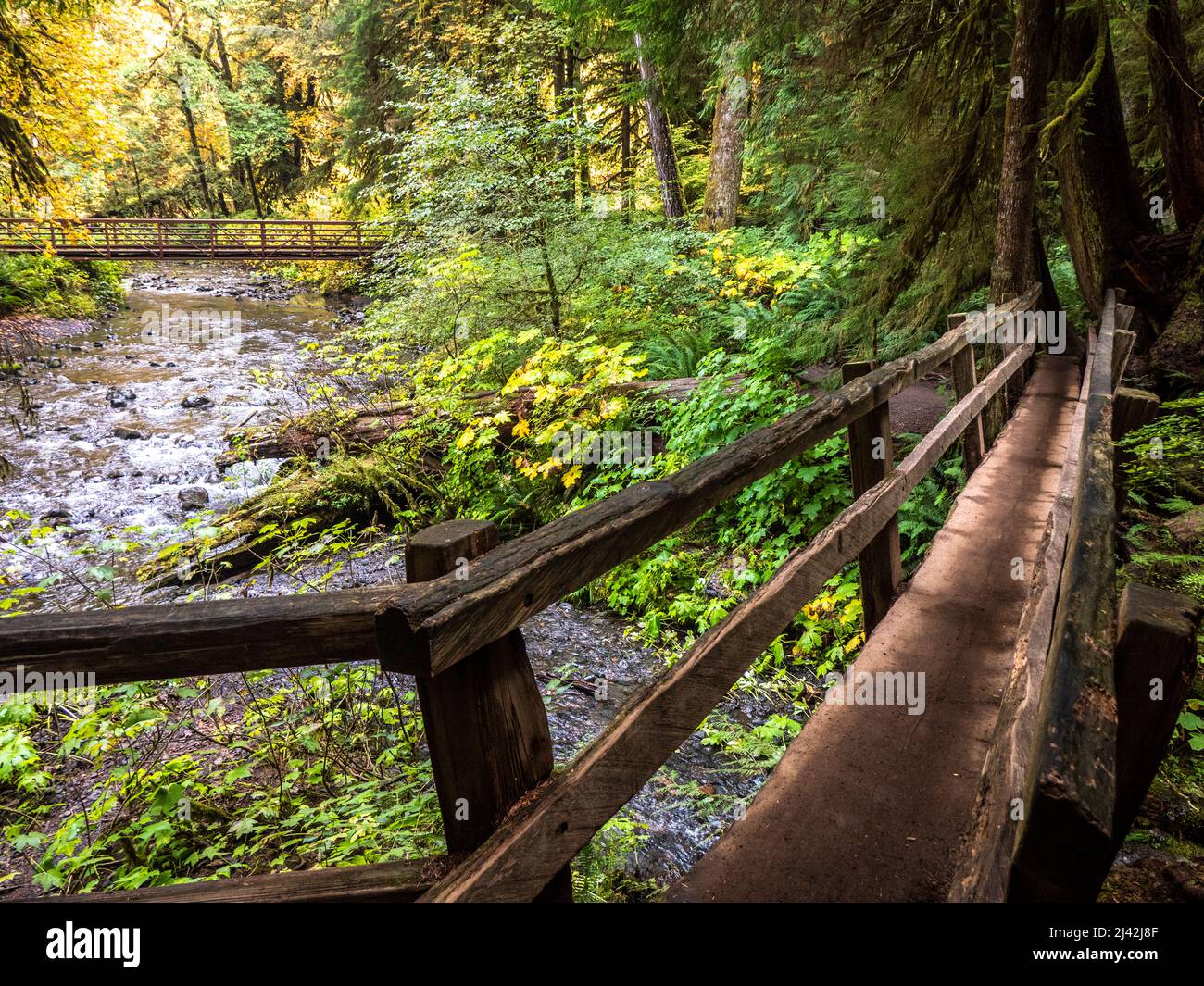 Handgefertigte Holzbrücken im Olympic National Park, USA Stockfoto
