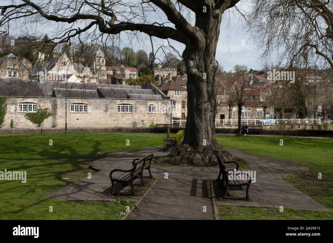 Park, Bradford on Avon, Wiltshire, England, Großbritannien Stockfoto