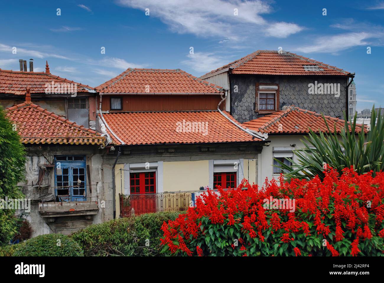 Die charakteristischen bunten Häuser des historischen Zentrums der schönen portugiesischen Stadt Porto, die zum UNESCO-Weltkulturerbe ernannt wurde. Stockfoto