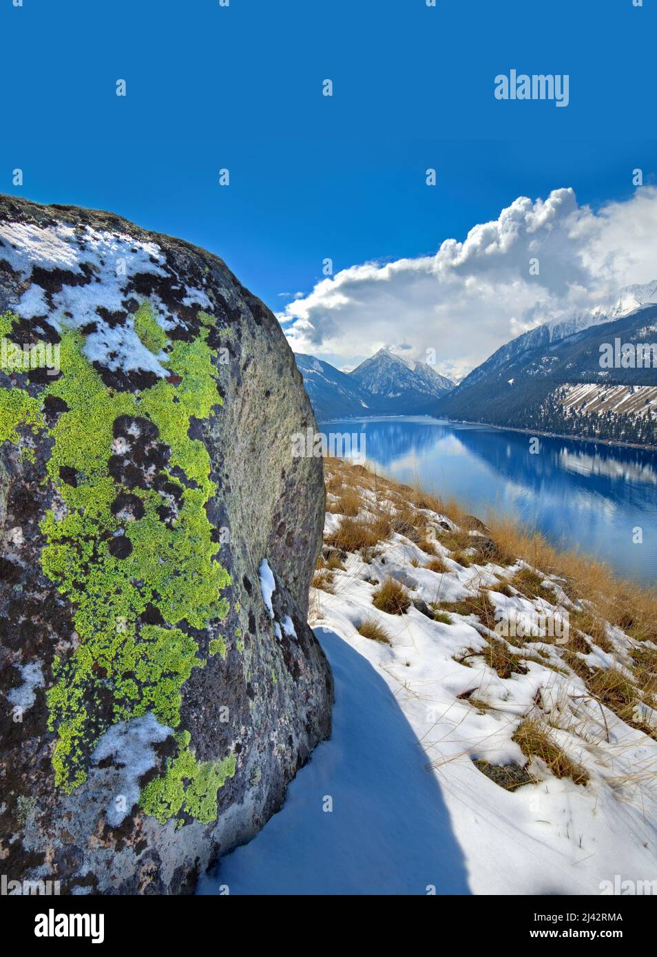 Geflickter erratischer Granodioritblock an der Ostmoräne des Wallowa Lake, Oregon Stockfoto