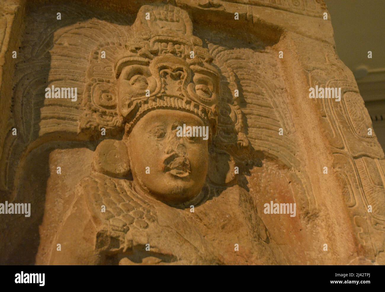 Stela 14 des Piedras Negras Guatemala, Museum der Penn State University Stockfoto