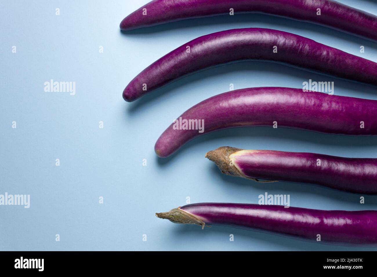 Auberginen. Frische Bio-Auberginen auf blauem Hintergrund. Flach liegend. Freier Speicherplatz für Text. Stockfoto