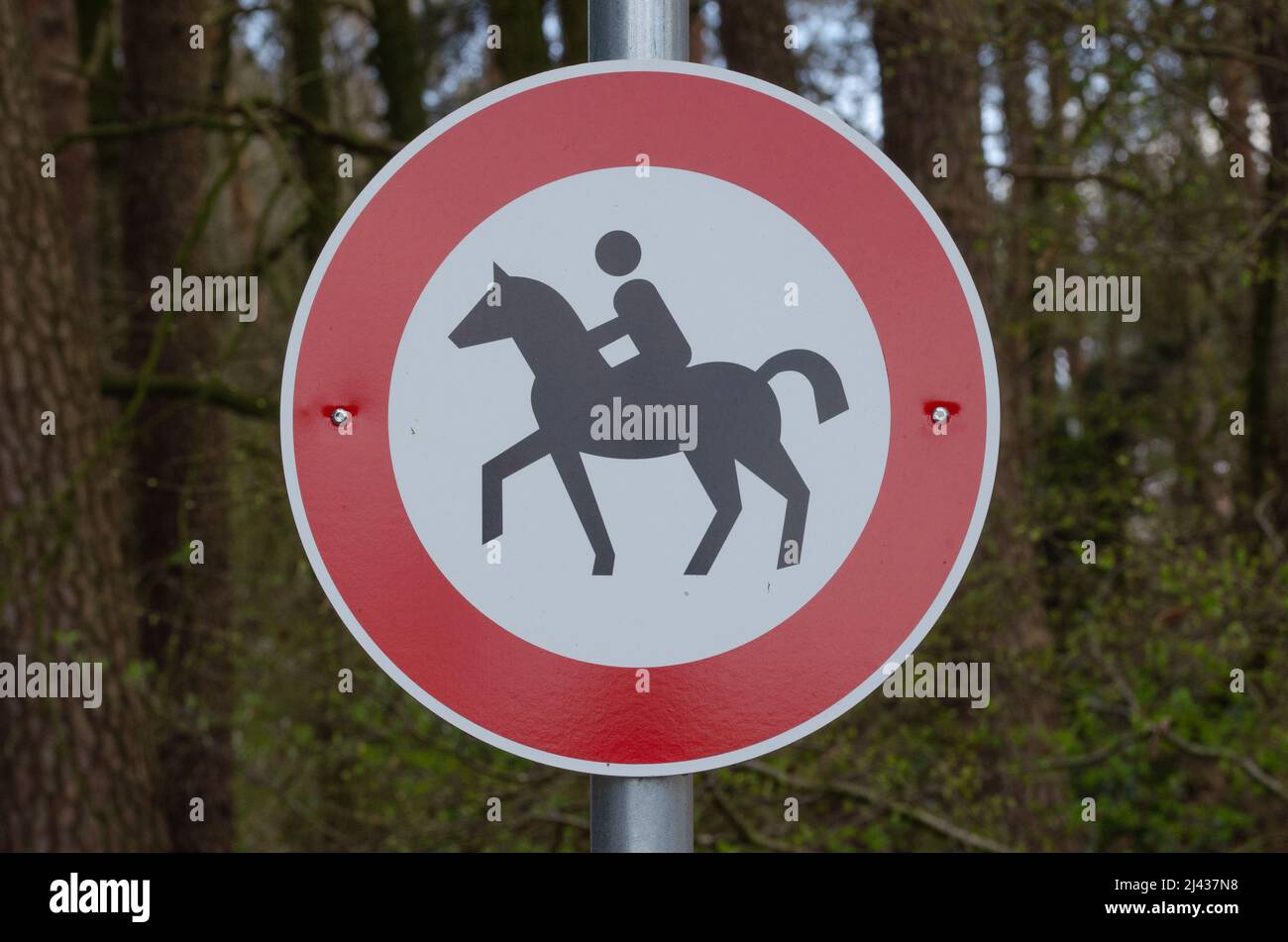Angebot für Reiter das Verkehrszeichen ist ein rundes Schild mit rotem Rand und einem Reiter auf einem Pferd in der Mitte. Stockfoto