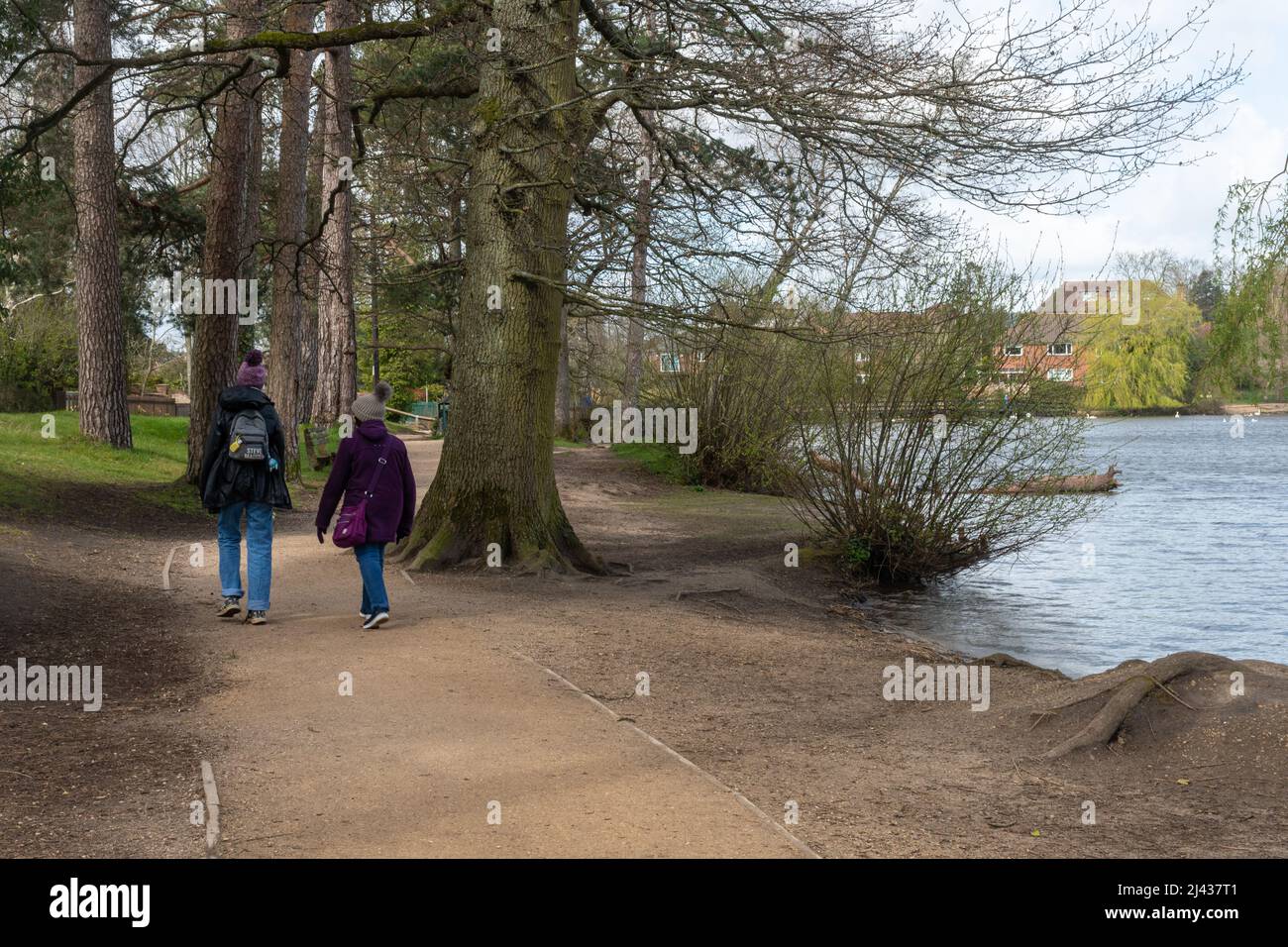Petersfield Heath Pond, eine Besucherattraktion und ein Tierpark in Hampshire, England, Großbritannien, mit Menschen, die auf einem Fußweg um den Teich herumlaufen Stockfoto