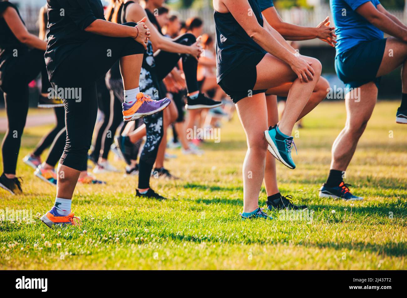 Gruppenlauf Warm auf, Beine auf schönem grünen Gras in warmem Licht. Teamtraining, Stretching und Kernübung Stockfoto