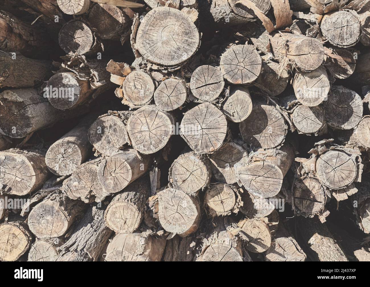 Verblassenes Bild eines Holzstapels, natürlicher abstrakter Hintergrund. Stockfoto