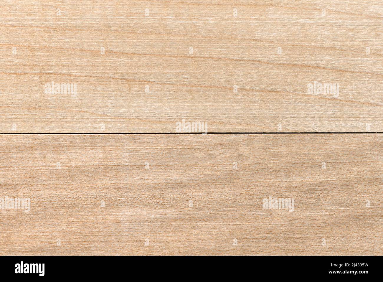 Die Textur eines Holzbretts. Hintergrund und Textur von hellem Holz. Nahaufnahme aus natürlichem Birkenholz. Unbemalter Fußboden in natürlichen Farbtönen Stockfoto
