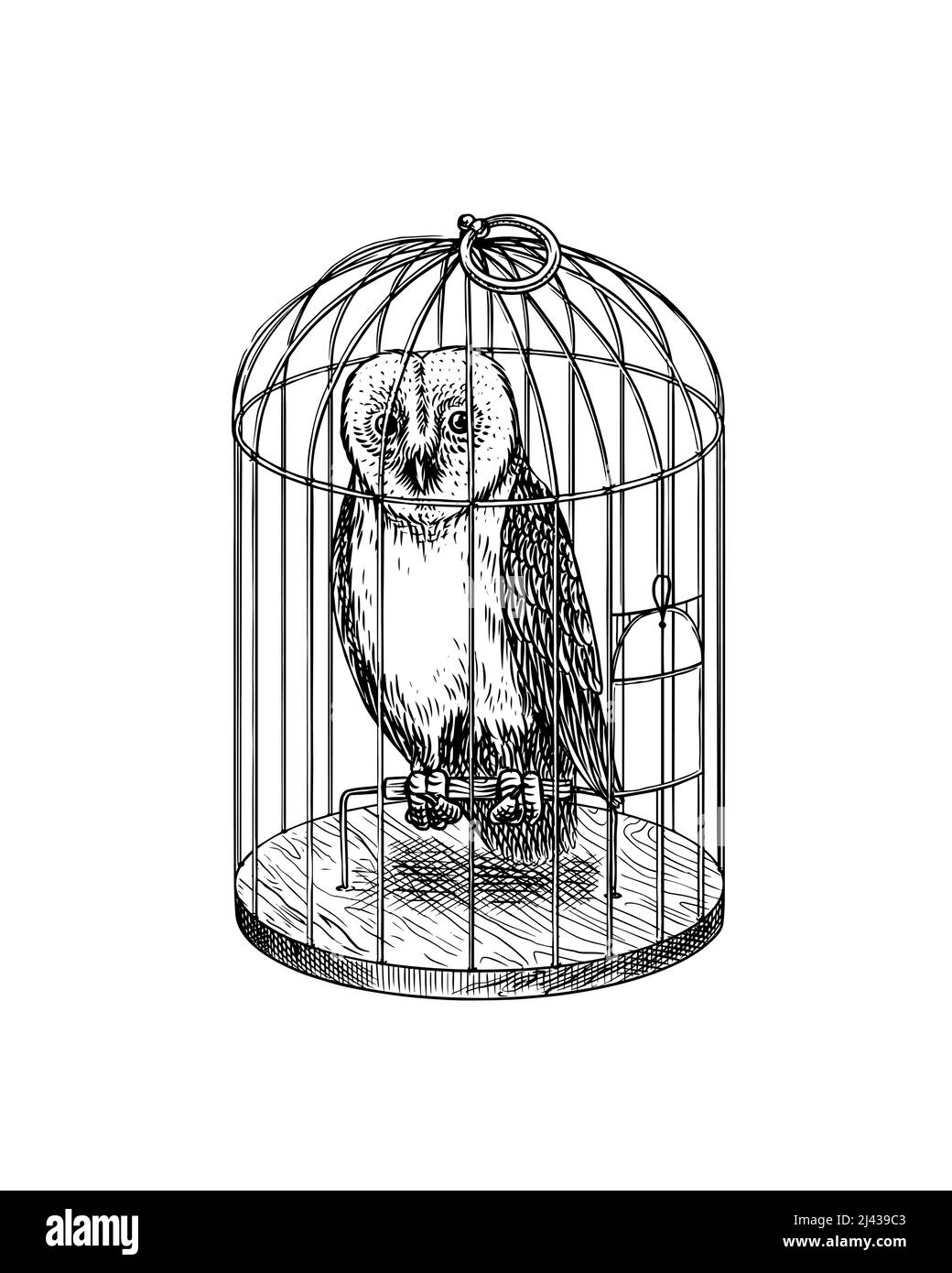 Eule in einem Käfig. Raubwald Wilder Vogel. Skizze mit Vintage-Gravur. Doodle-Übersicht. Handzeichnung. Stock Vektor