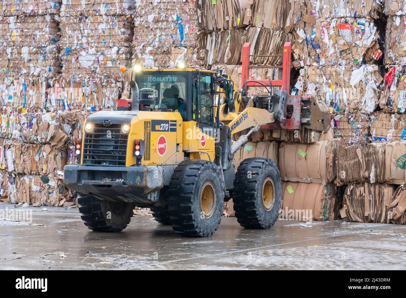 Schwere Maschinen, die in einer industriellen Recyclinganlage mit Recyclingpapier arbeiten. Stockfoto