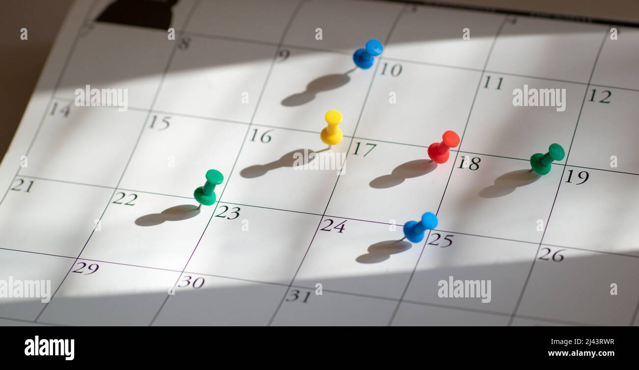 Druckstifte oder Daumennacks im Kalender. Terminplanung und Tagungskonzept mit vollem Terminkalender. Stockfoto