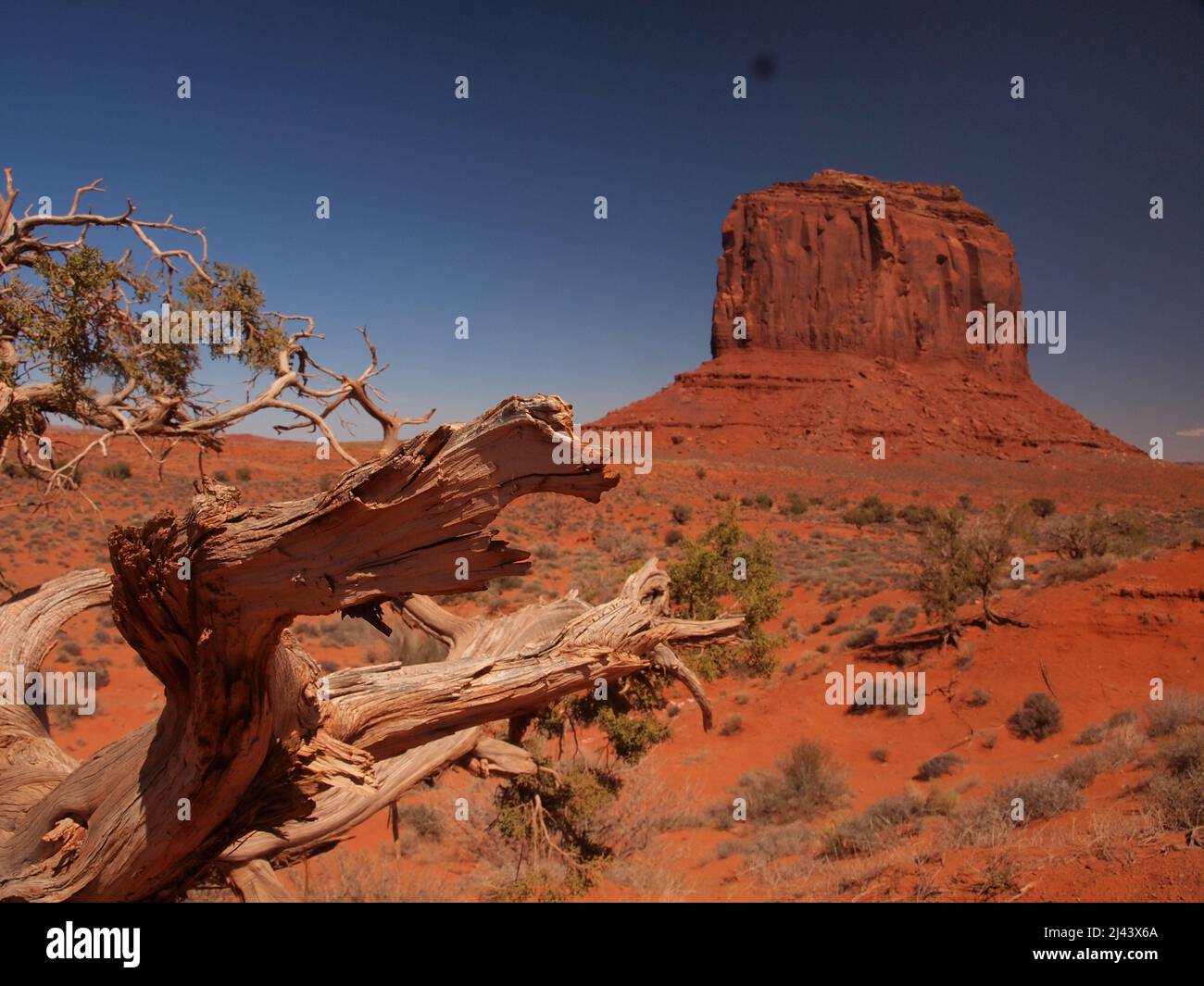 Monument Valley im Norden von Arizona und im Süden von Utah in der Navajo Nation. Spektakuläre Stätte, die in amerikanischen Western-Filmen berühmt wurde. Stockfoto