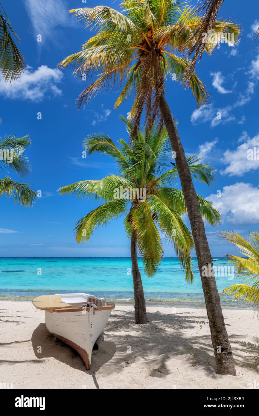 Wunderschöner Strand auf Tropical Island Stockfoto