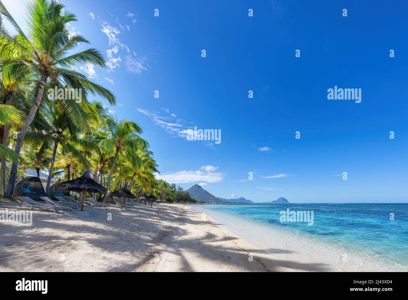 Wunderschöner Strand auf Tropical Island Stockfoto