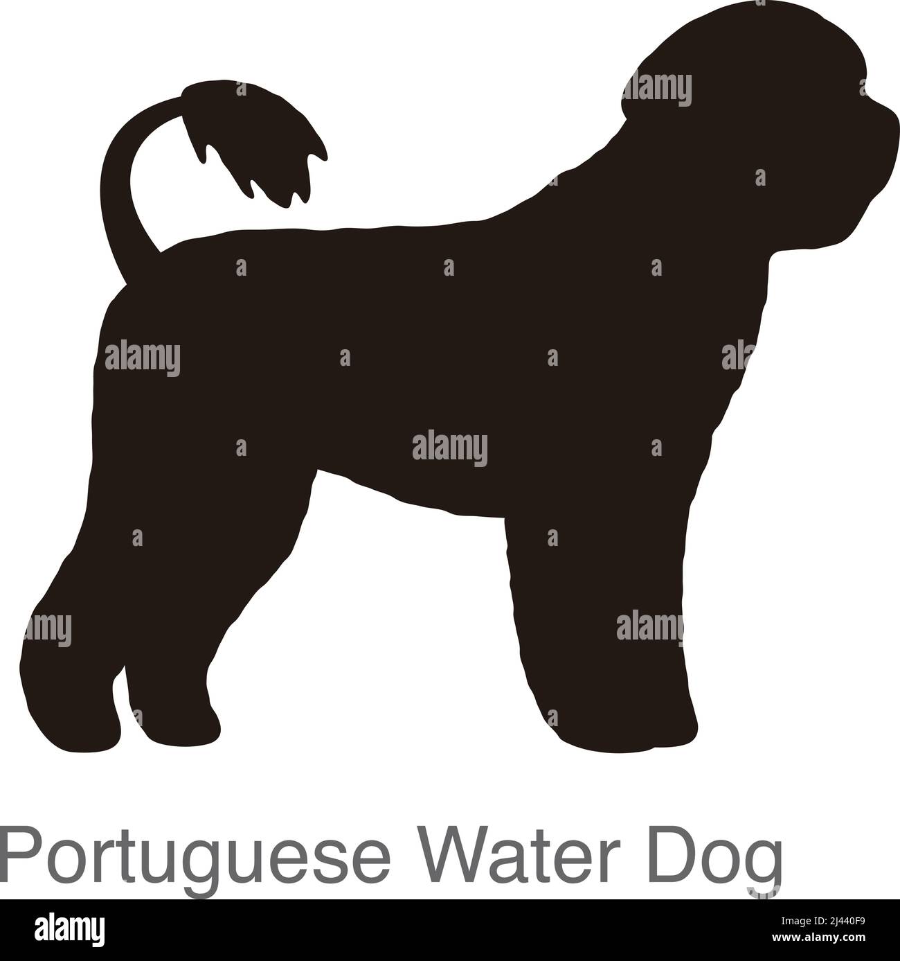 Portugiesischer Wasserhund am Loch, beobachten, Vektorgrafik Stock Vektor