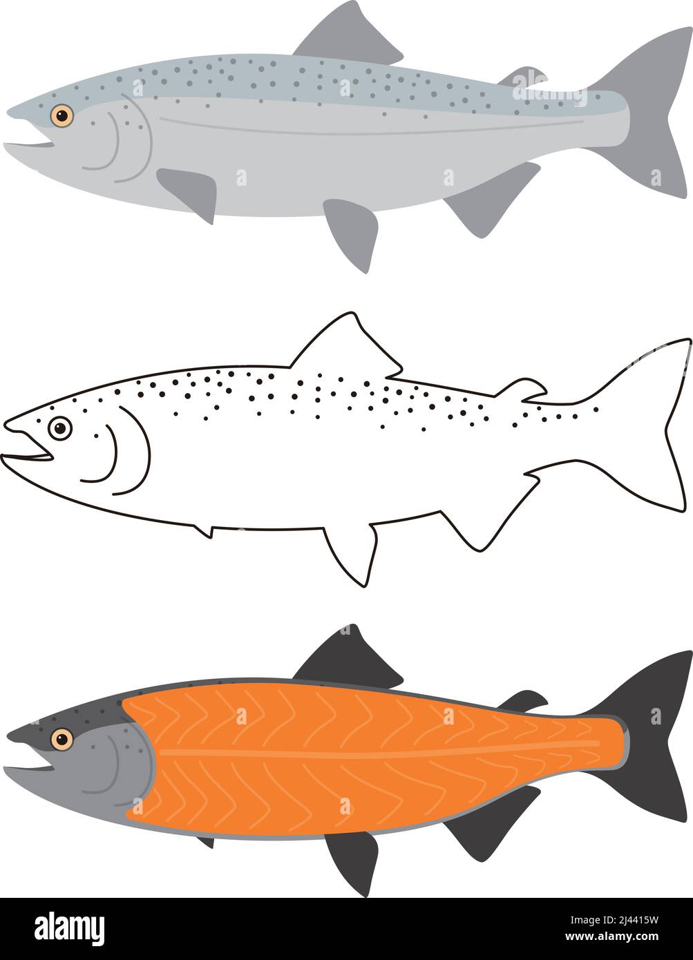 Lachs Fleisch, Meeresfrüchte roh Teil, Vektor-Illustration Stock Vektor