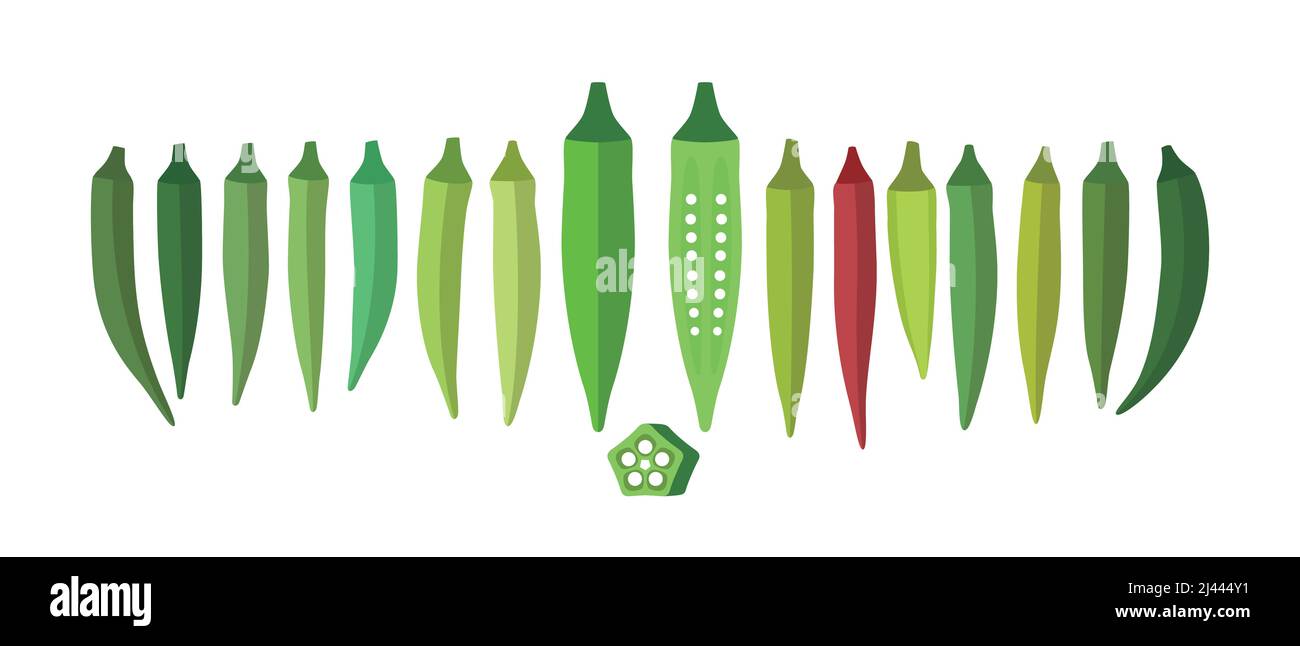 Gemüse Okra Essen flach Symbol Vektor-illustration Stock Vektor