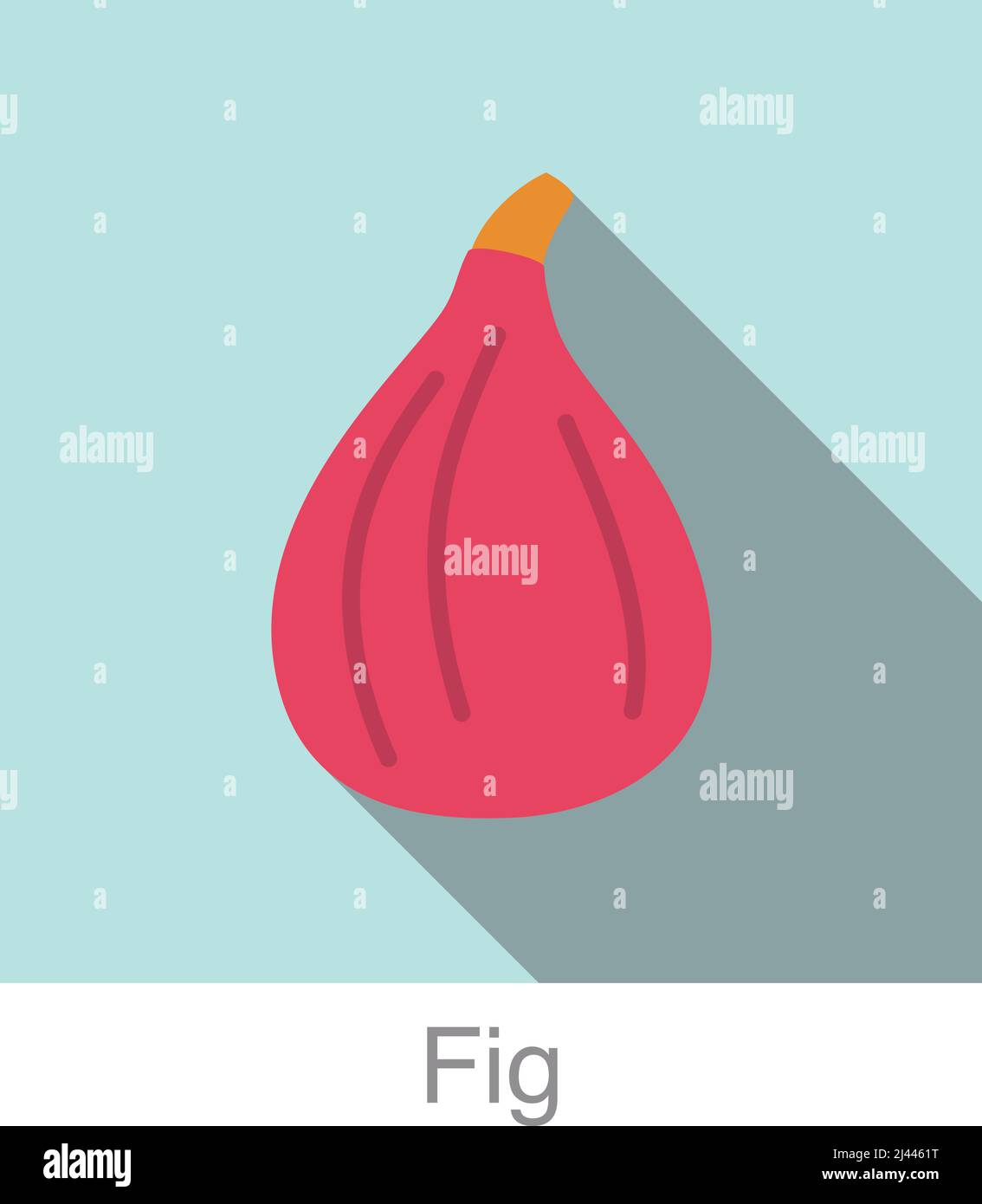 Fig Frucht flach Symbol, Vektor-Illustration Stock Vektor