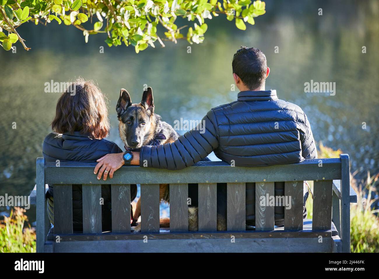 Es ist kein Wochenende ohne unseren Hund. Rückansicht eines Paares, das mit seinem Hund auf einer Bank sitzt und auf den See blickt. Stockfoto
