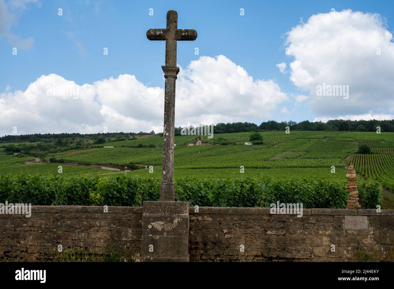 Berühmte clos Pinnot noir Weinberge mit Steinmauern in der Nähe von Nuits-Saint-Georges in der Weinregion Burgund, Frankreich Stockfoto