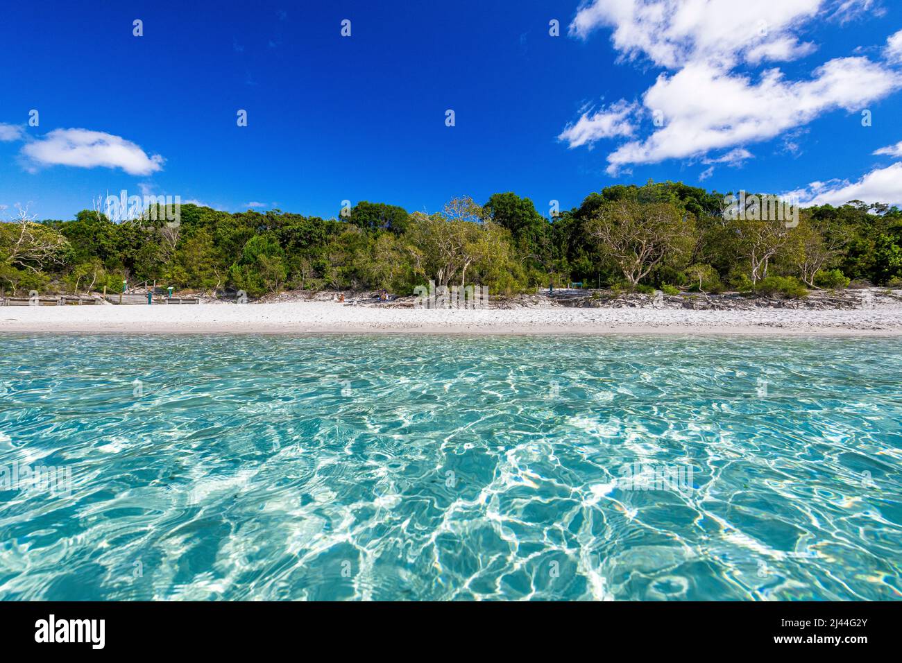 Das unglaublich kristallklare Wasser am Lake McKenzie auf Fraser Island in Queensland, Australien Stockfoto