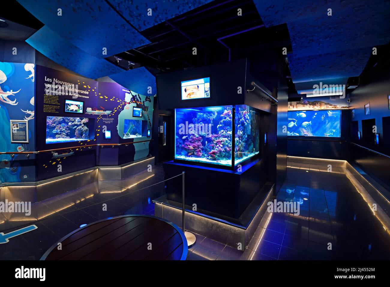 Ausstellungsräume, Aquarium, Ozeanographisches Museum Monaco, Monaco Ville, Monaco Stockfoto