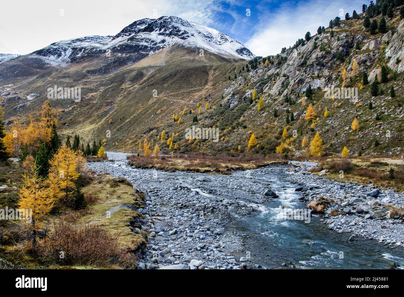 Ferner Gries, ausgewaehlte Garten, Herbst im Kaunertal, Tirol, Österreich Stockfoto