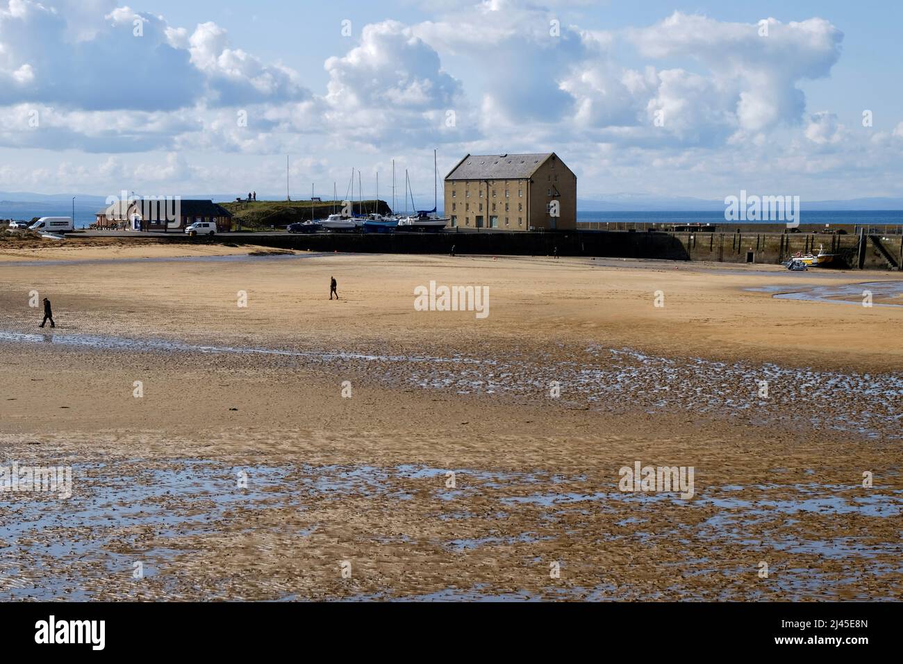 Elie Fife Schottland ein Küstenresortdorf, die Flut ist draußen und Einheimische und Touristen genießen einen Spaziergang am Strand. Blauer Himmel an einem frühen Frühlingstag. Stockfoto