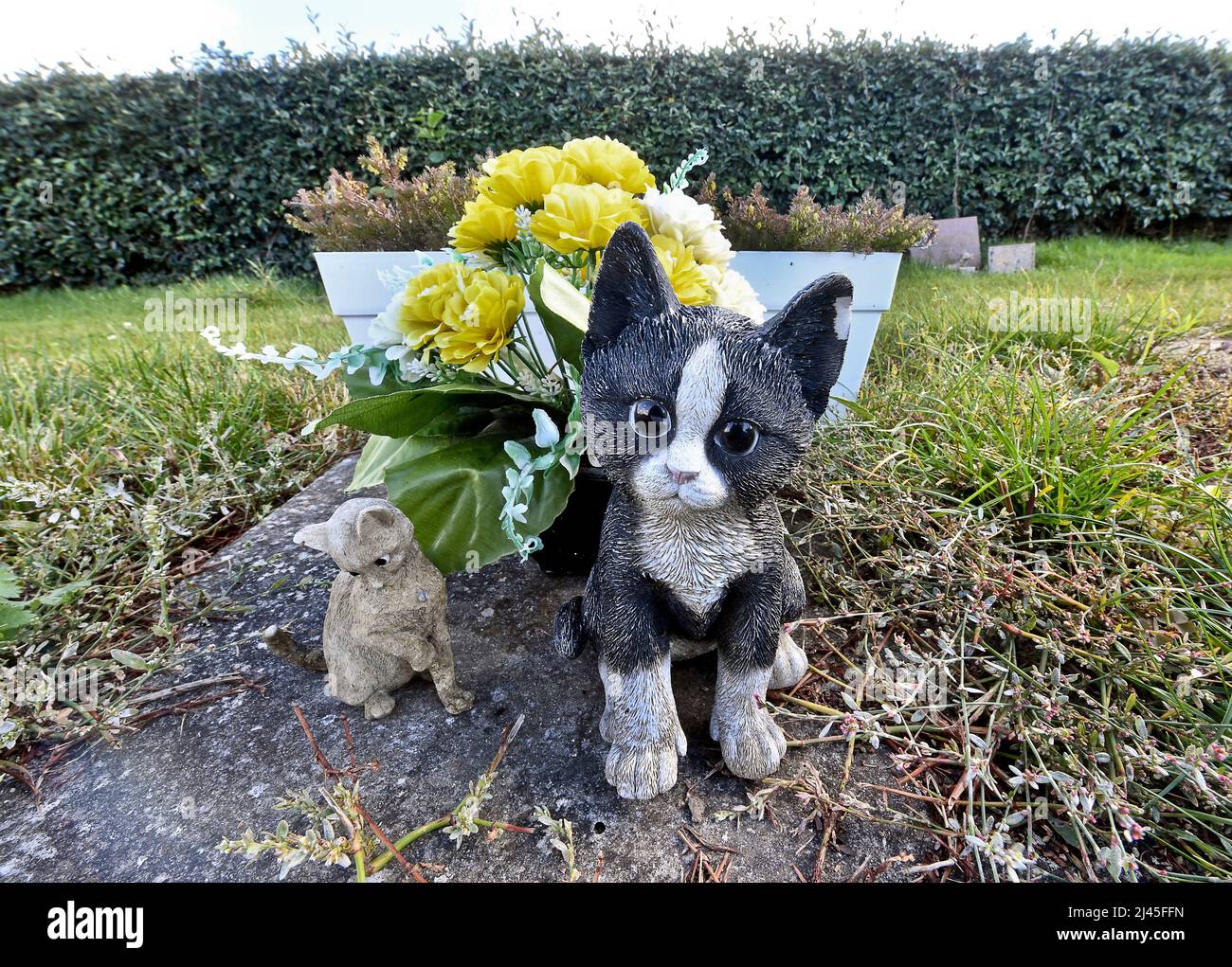 Saint-Martin-Boulogne (Nordfrankreich): Tierfriedhof. Statuette einer Katze, Kätzchen *** Ortsüberschrift *** Stockfoto